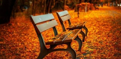 Two empty wooden benches sit on a path covered with orange and yellow autumn leaves, surrounded by trees in a park during fall, creating a warm and serene atmosphere.