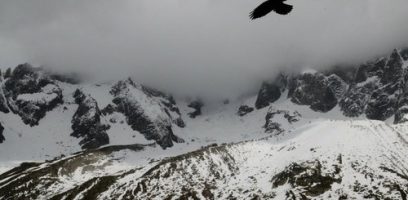 Snow-covered mountains under a cloudy sky, with dark rocky peaks partially hidden by mist. A large bird, possibly a raven or crow, flies in the upper right portion of the image.